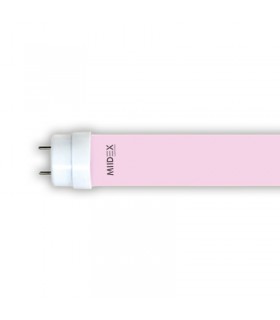 Miidex - 75963 - 3760173779659