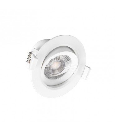 Miidex - 763613 - 3701124405760