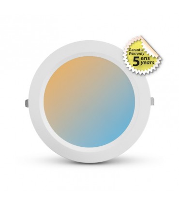 Miidex - 765131 - 3701124425133