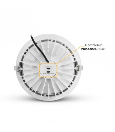 Miidex - 765131 - 3701124425133