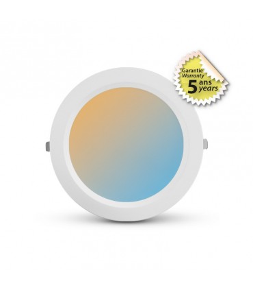 Miidex - 765132 - 3701124426918