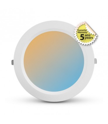 Miidex - 765133 - 3701124426925