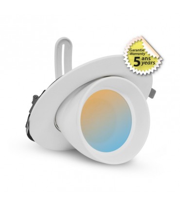 Miidex - 767440 - 3701124425140