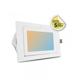 Miidex - 76913 - 3701124425164