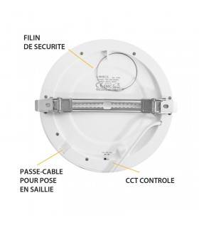 Miidex - 77565 - 3701124424297