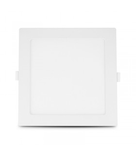 Miidex - 77640 - 3701124421753