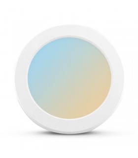 Miidex - 77674 - 3701124424327