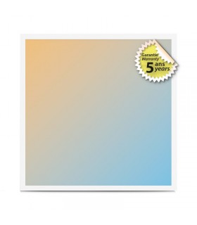 Miidex - 777052 - 3701124425782