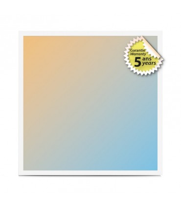 Miidex - 777052 - 3701124425782