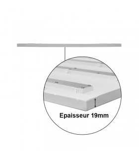 Miidex - 77706 - 3701124425867