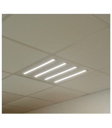 Miidex - 77706 - 3701124425867