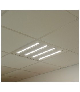 Miidex - 7706 - 3760173772056