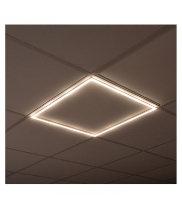 Miidex - 77721 - 3701124420503