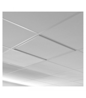 Miidex - 77721 - 3701124420503