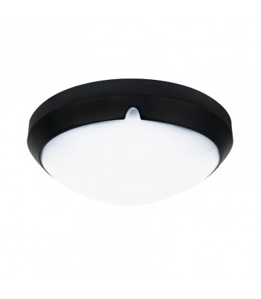 Miidex - 7786 - 3701124412171