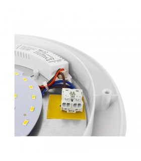 Miidex - 7786 - 3701124412171