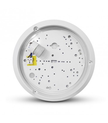 Miidex - 7786 - 3701124412171