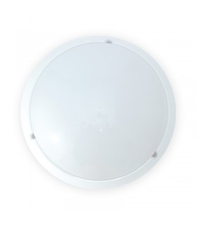 Miidex - 7786 - 3701124412171