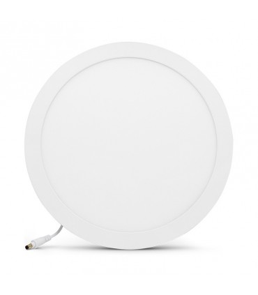 Miidex - 77880 - 3701124405371