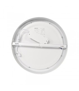 Miidex - 77880 - 3701124405371