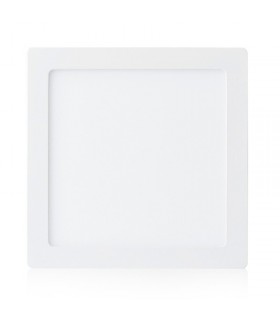 Miidex - 77881 - 3701124402301