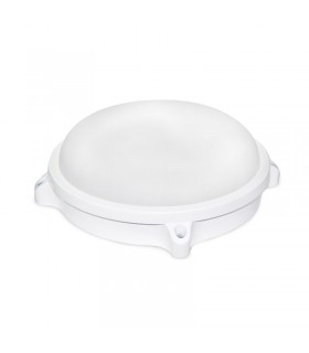 Miidex - 7789 - 3760173773138