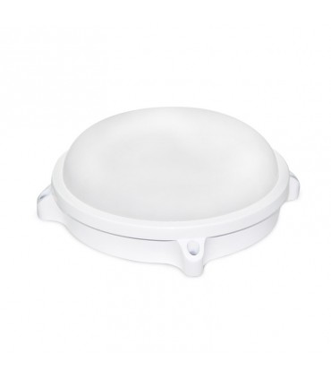 Miidex - 7789 - 3760173773138