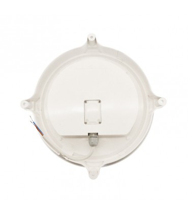 Miidex - 7789 - 3760173773138