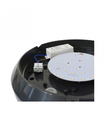 Miidex - 7790 - 3760173773558