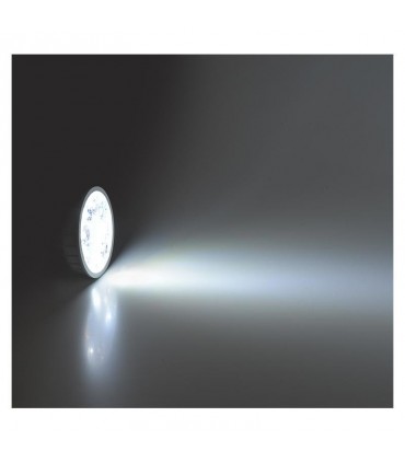 Miidex - 78391 - 3701124420237