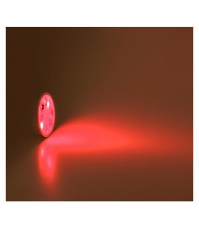 Miidex - 78391 - 3701124420237