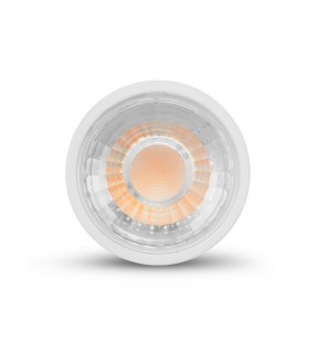 Miidex - 785520 - 3701124426734