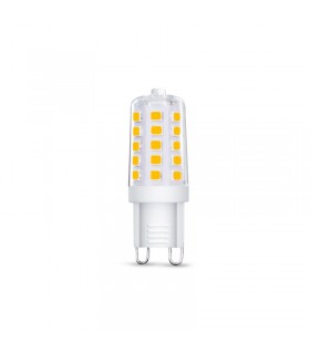 Miidex - 79223 - 3701124424679