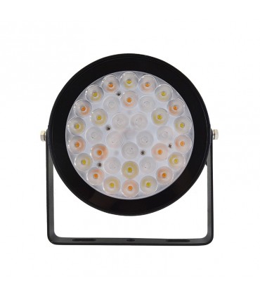 Miidex - 80106 - 3701124418968