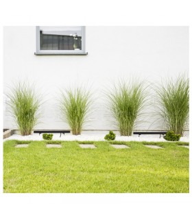 Miidex - 80212 - 3701124425331