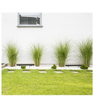 Miidex - 80240 - 3701124425492