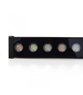 Miidex - 8028 - 3701124412249