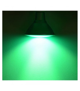 Miidex - 8109 - 3701124408433