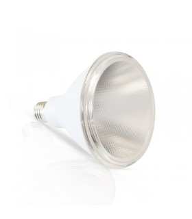 Miidex - 81200 - 3701124412584