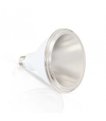 Miidex - 81200 - 3701124412584