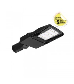 Miidex - 9022121 - 3701124419385