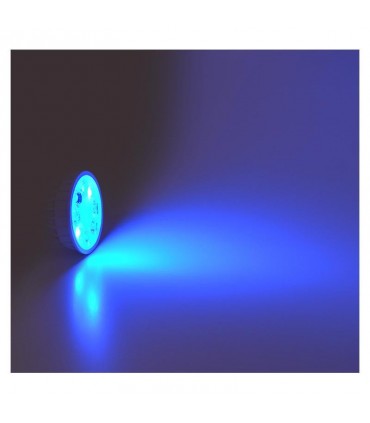 Miidex - 100404 - 3701124432339