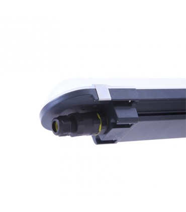 Miidex - 400040 - 3701124428806