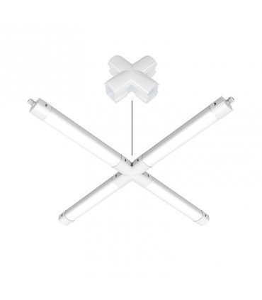 Miidex - 100503 - 3701124433190