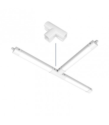 Miidex - 100503 - 3701124433190