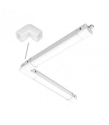 Miidex - 100504 - 3701124433206