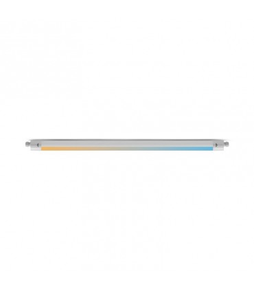 Miidex - 100505 - 3701124433213