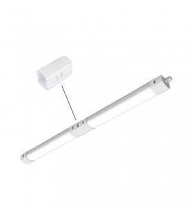 Miidex - 100506 - 3701124433220