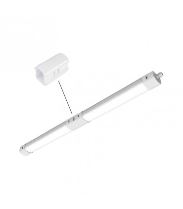 Miidex - 100506 - 3701124433220