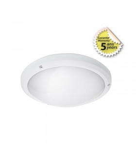 Miidex - 400007 - 3701124428479